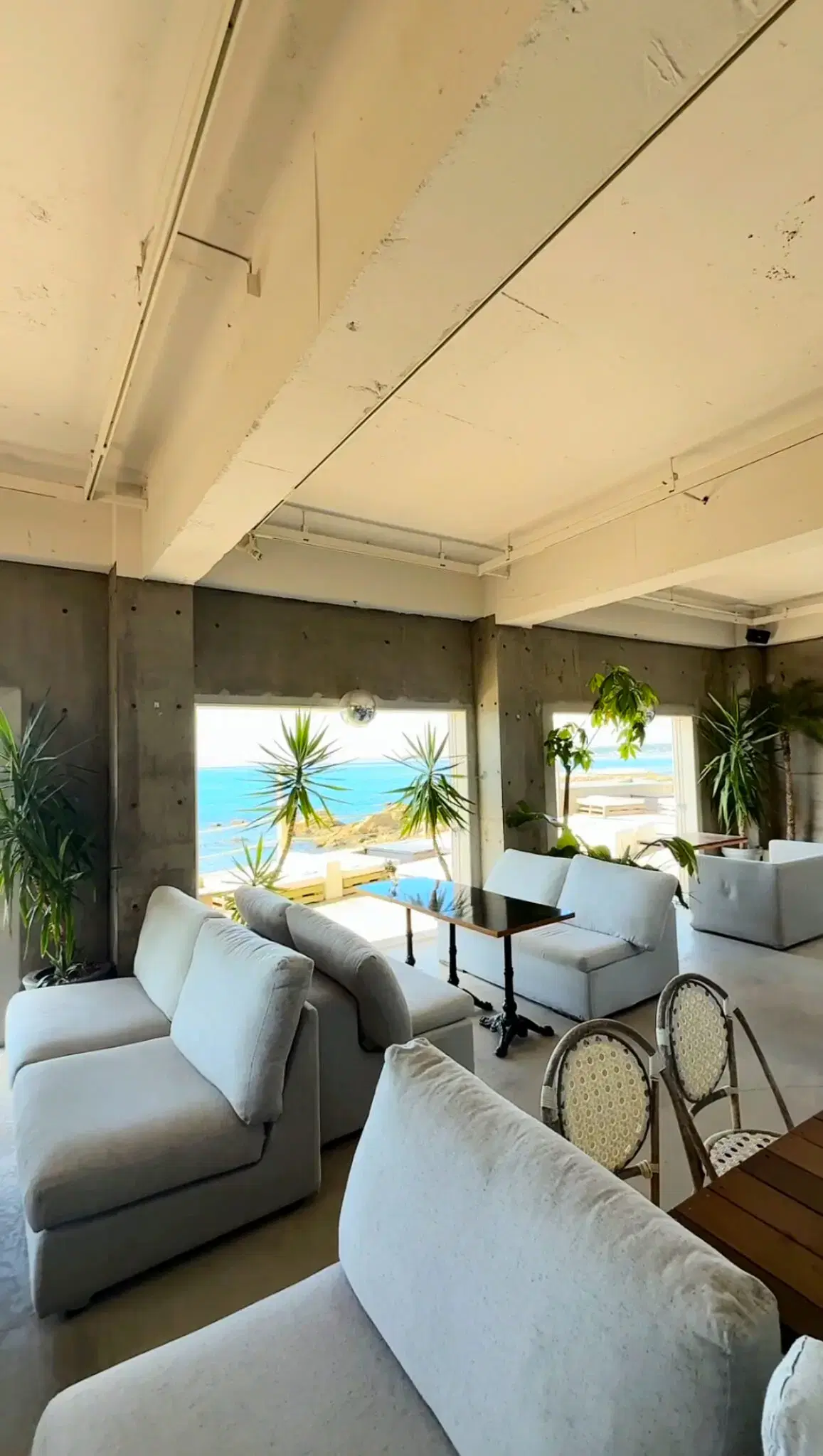 UNDER THE PALMOの動画サムネイル