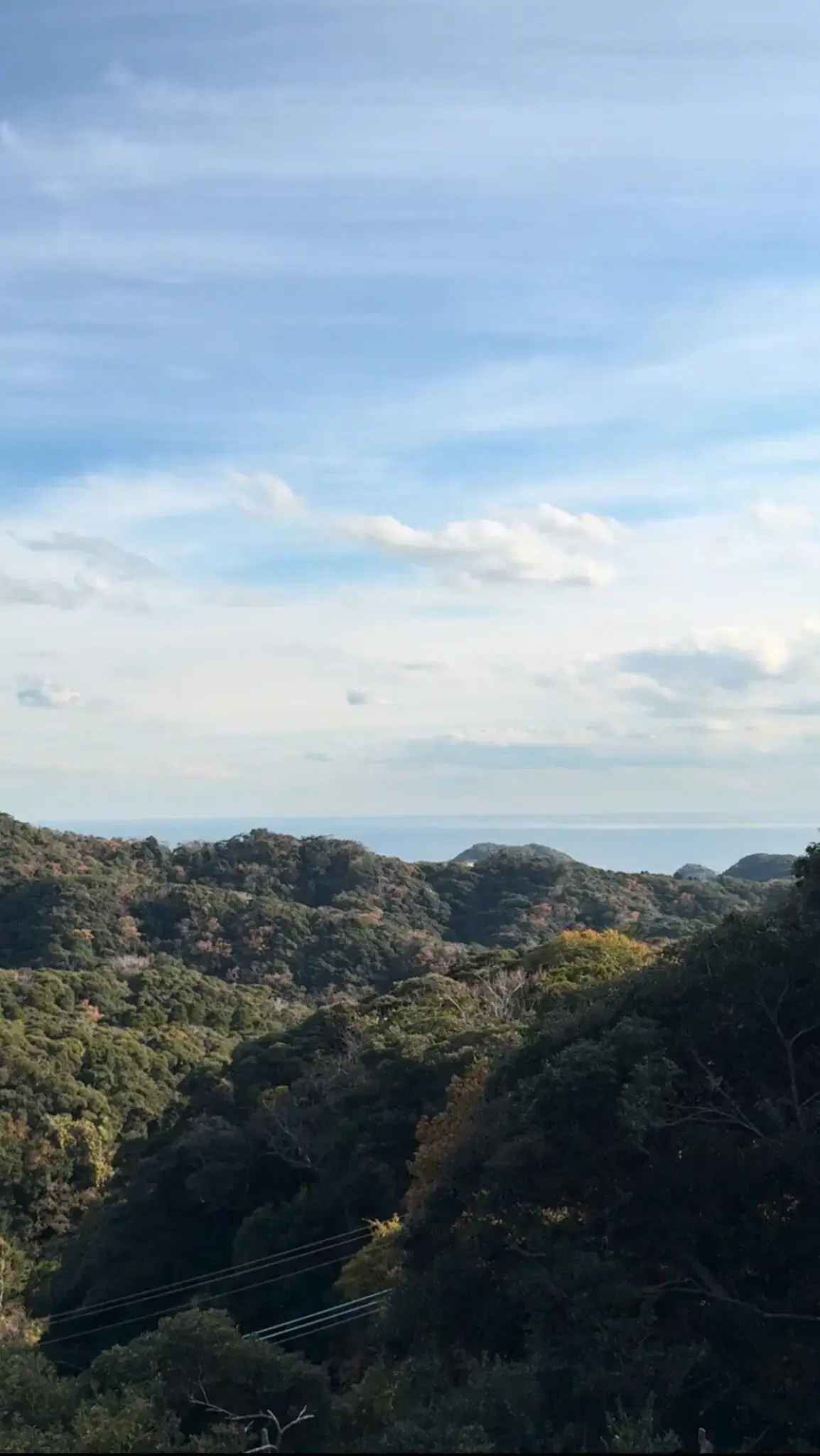 shinichiro Sauna Sisetsuの動画サムネイル