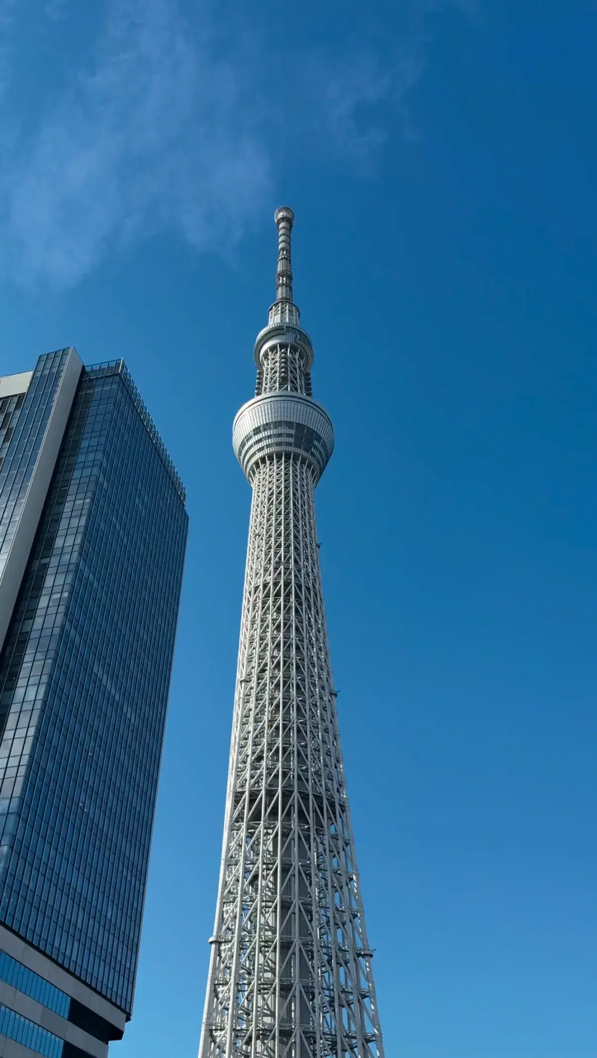 リッチモンドホテルプレミア東京スコーレの動画サムネイル