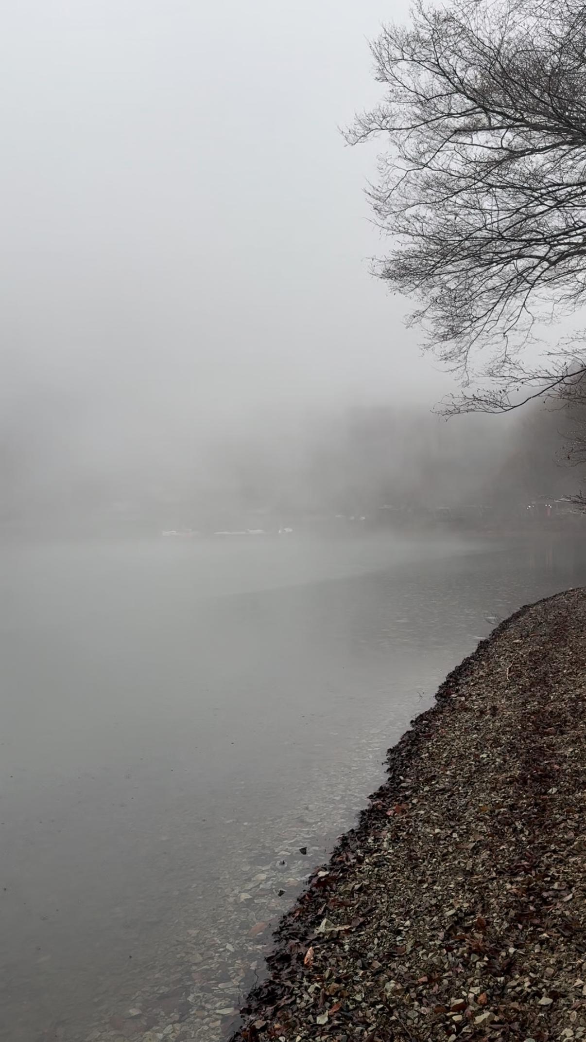 湖畔の楽園ドラゴンサウナの動画サムネイル