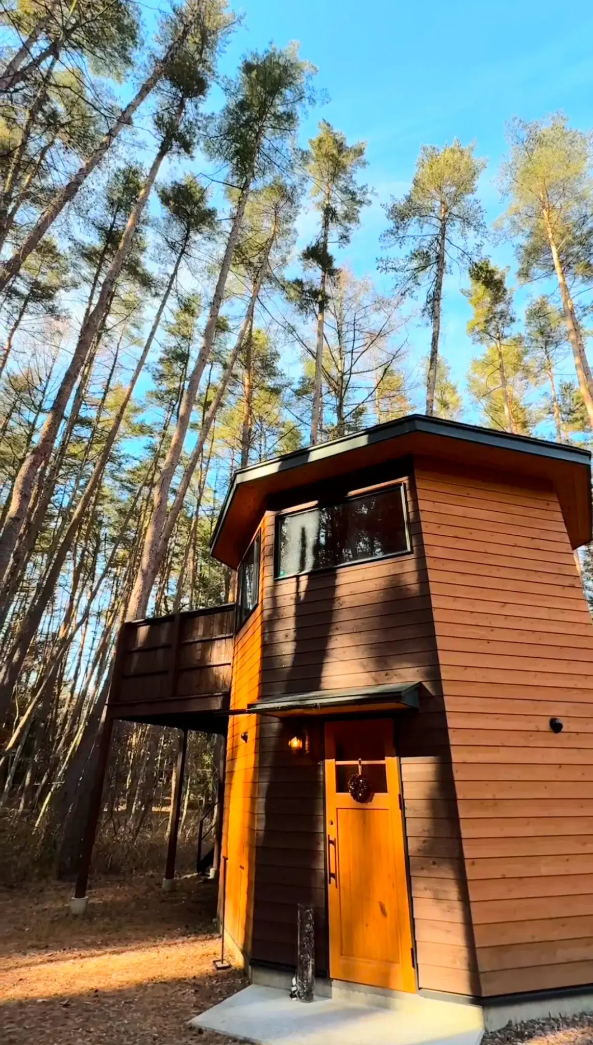 Fuji Saunaの動画サムネイル