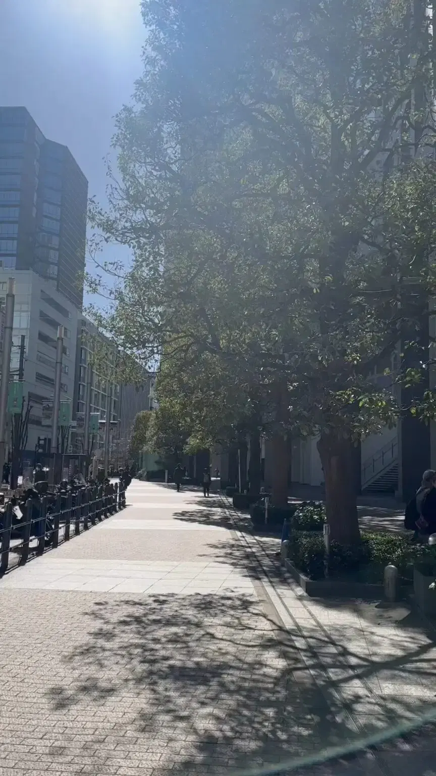 Tokyo orchardの動画サムネイル