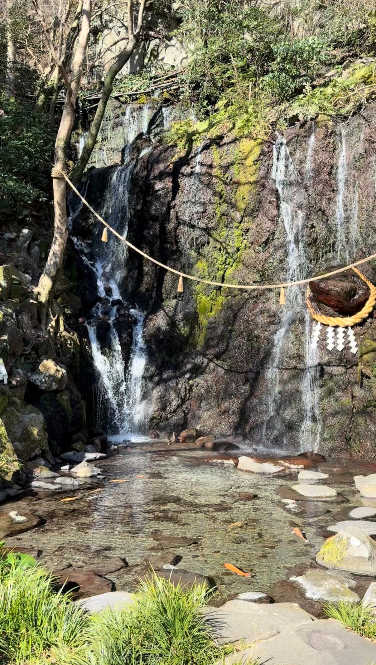 天成園の動画サムネイル