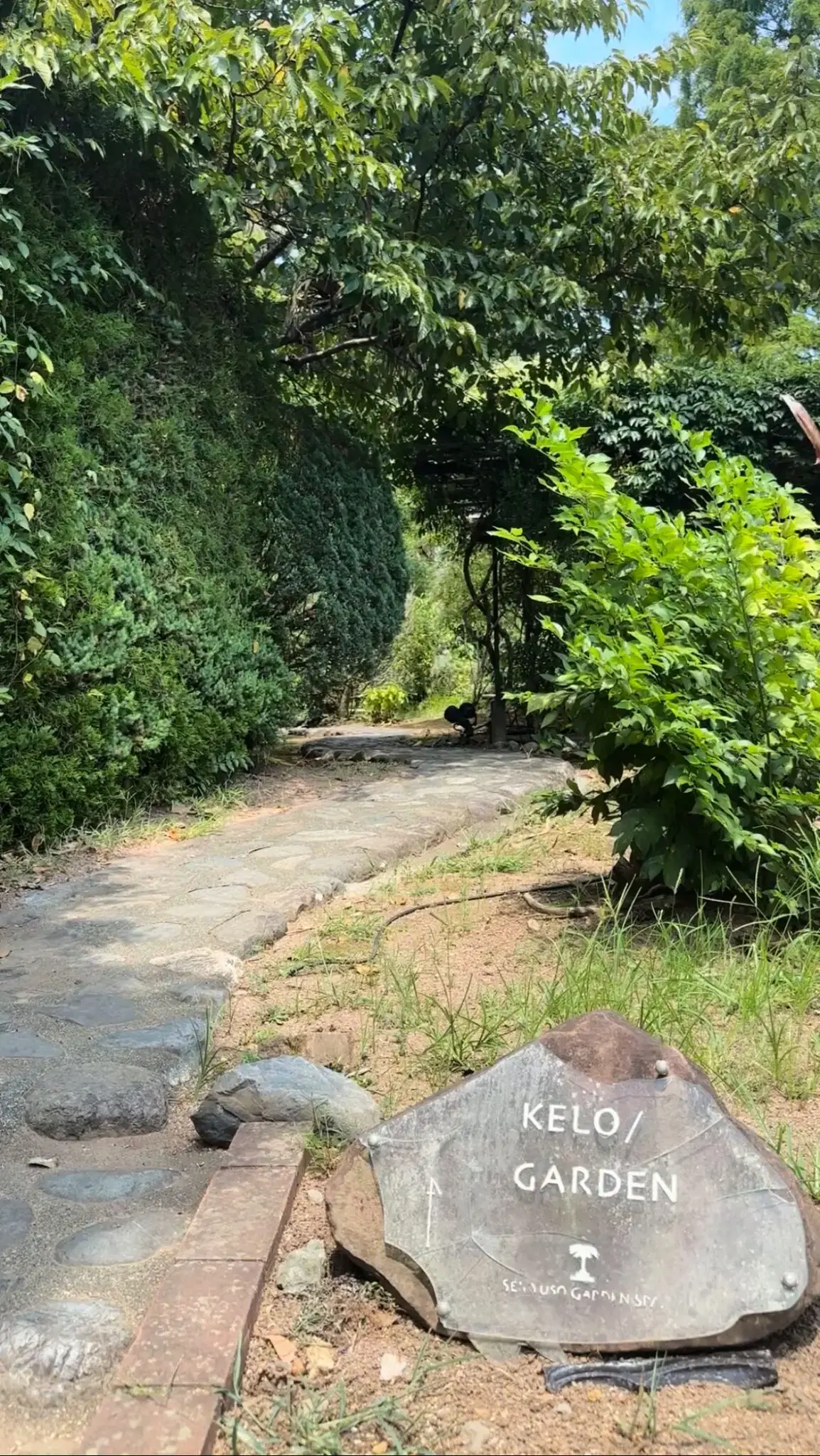 下田蓮台寺温泉 清流荘の動画サムネイル