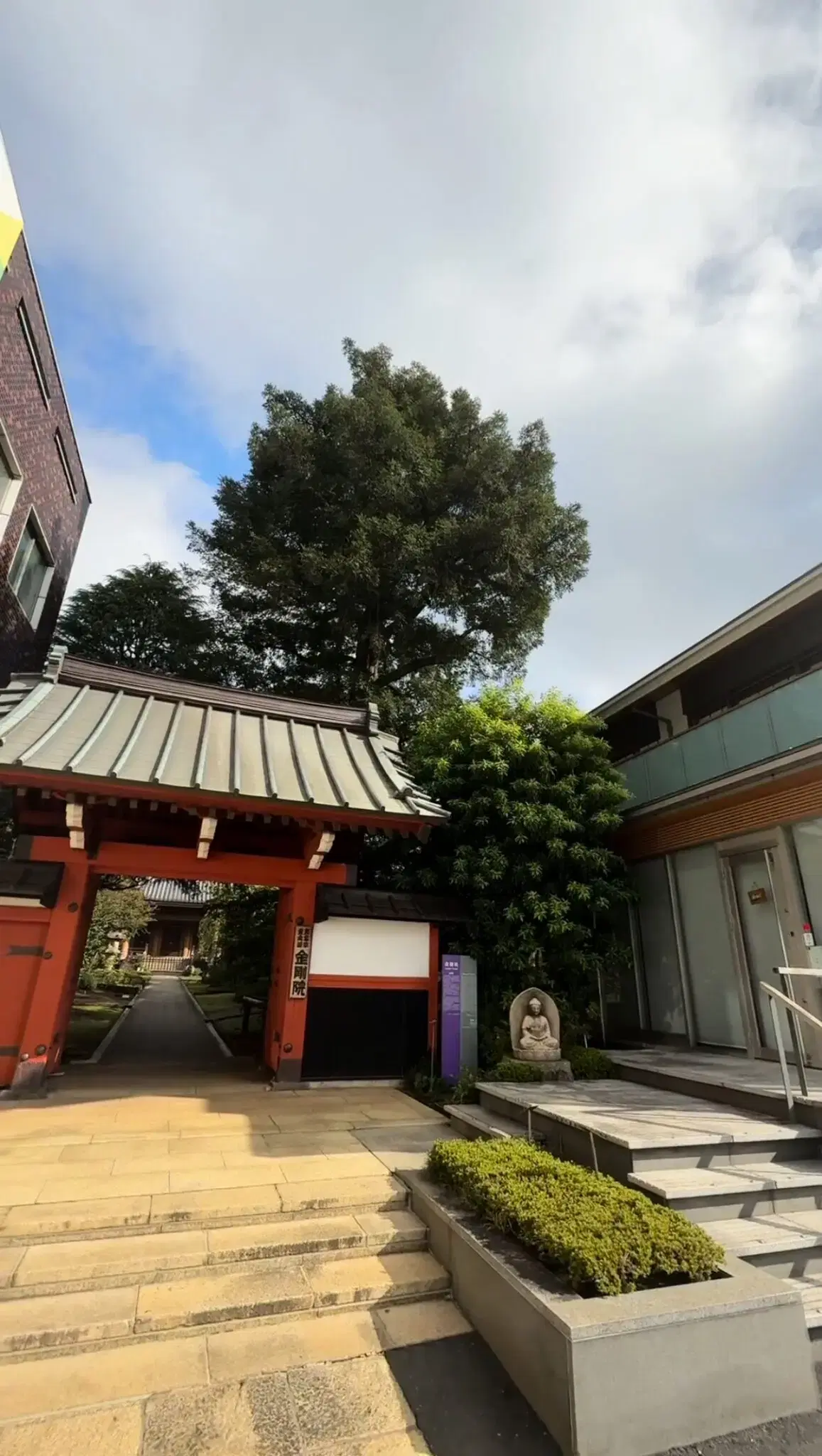 赤門テラス なゆたの動画サムネイル