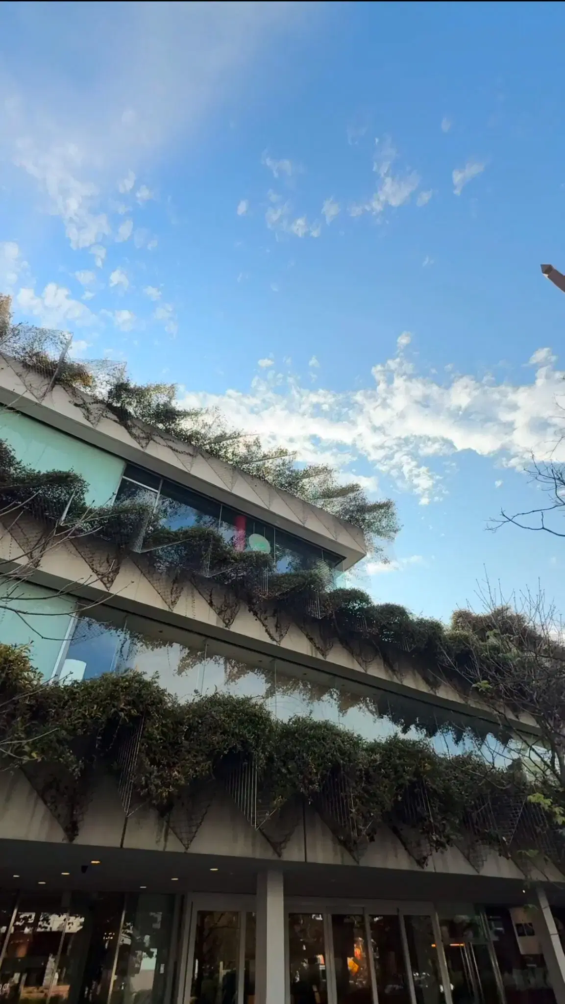 bills 二子玉川店の動画サムネイル