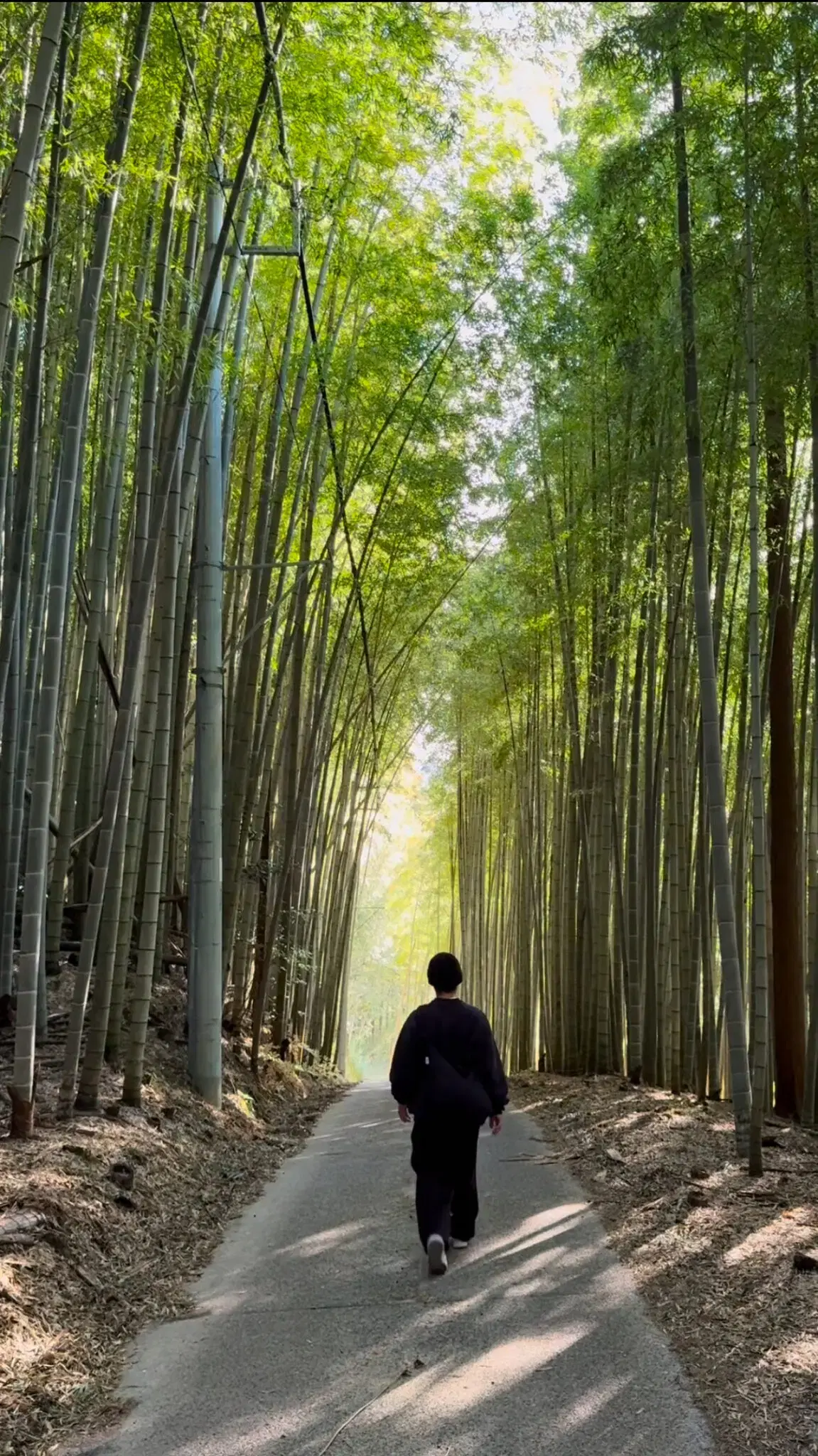 and FOREST勝浦 竹の離れの動画サムネイル