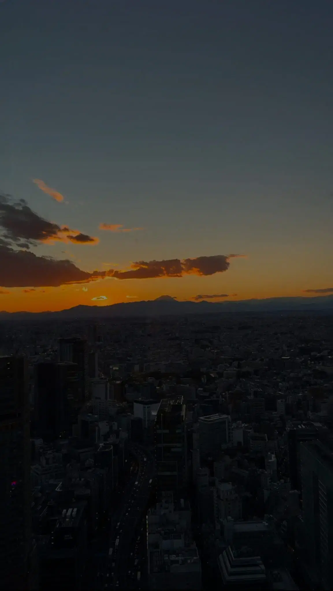 Paradise Loungeの動画サムネイル