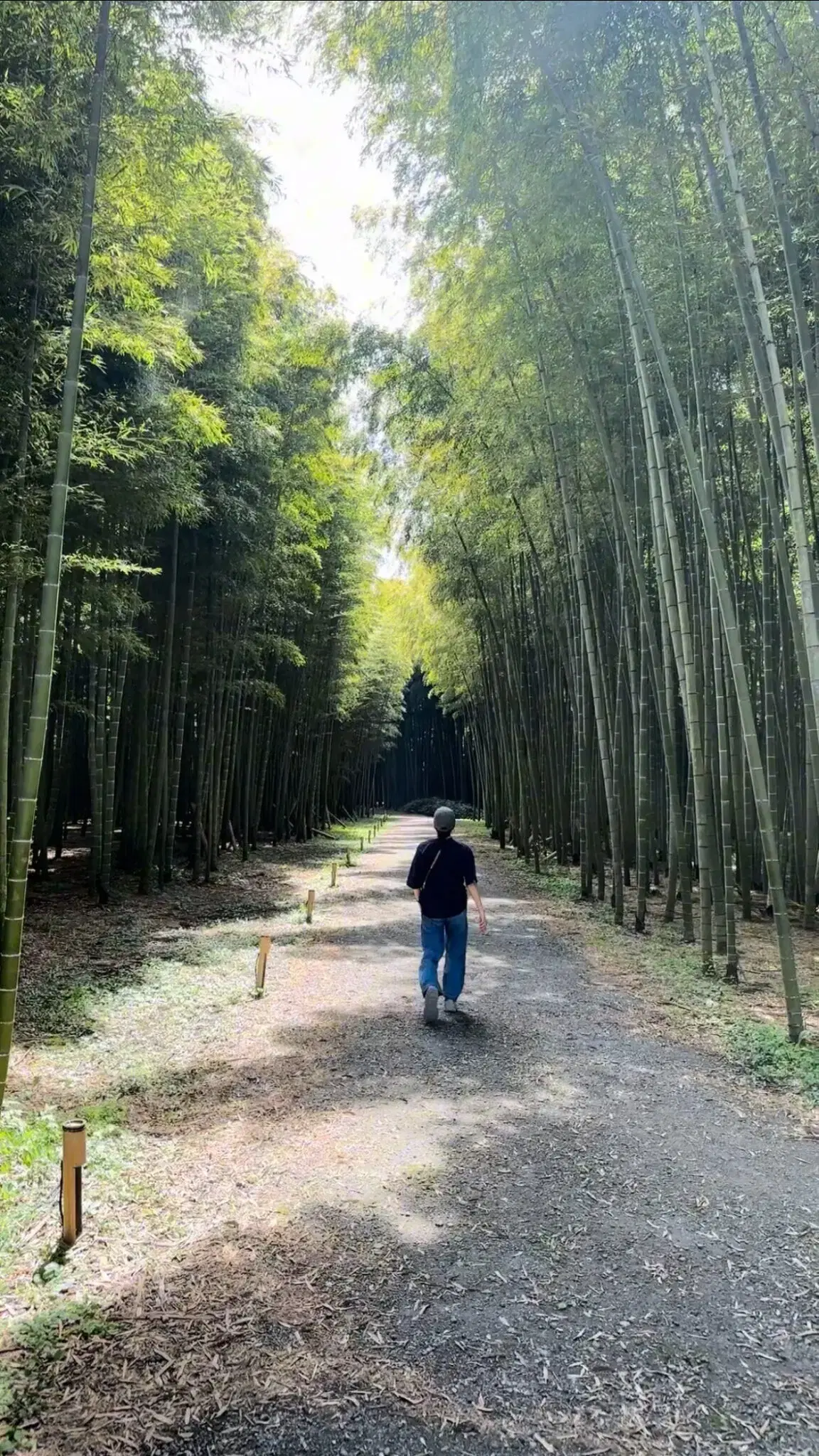 若竹の杜 若山農場の動画サムネイル