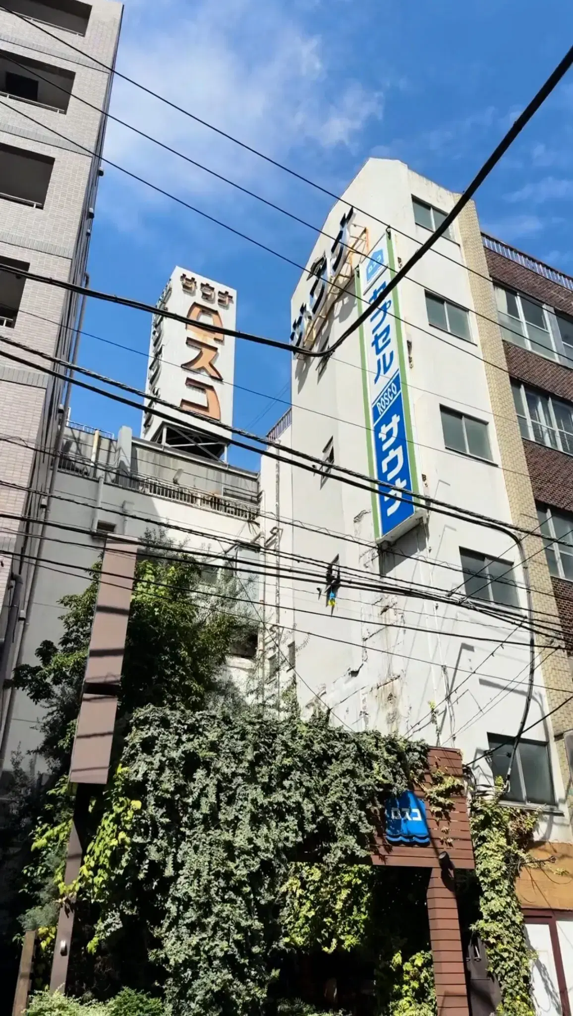 カプセル&サウナロスコの動画サムネイル