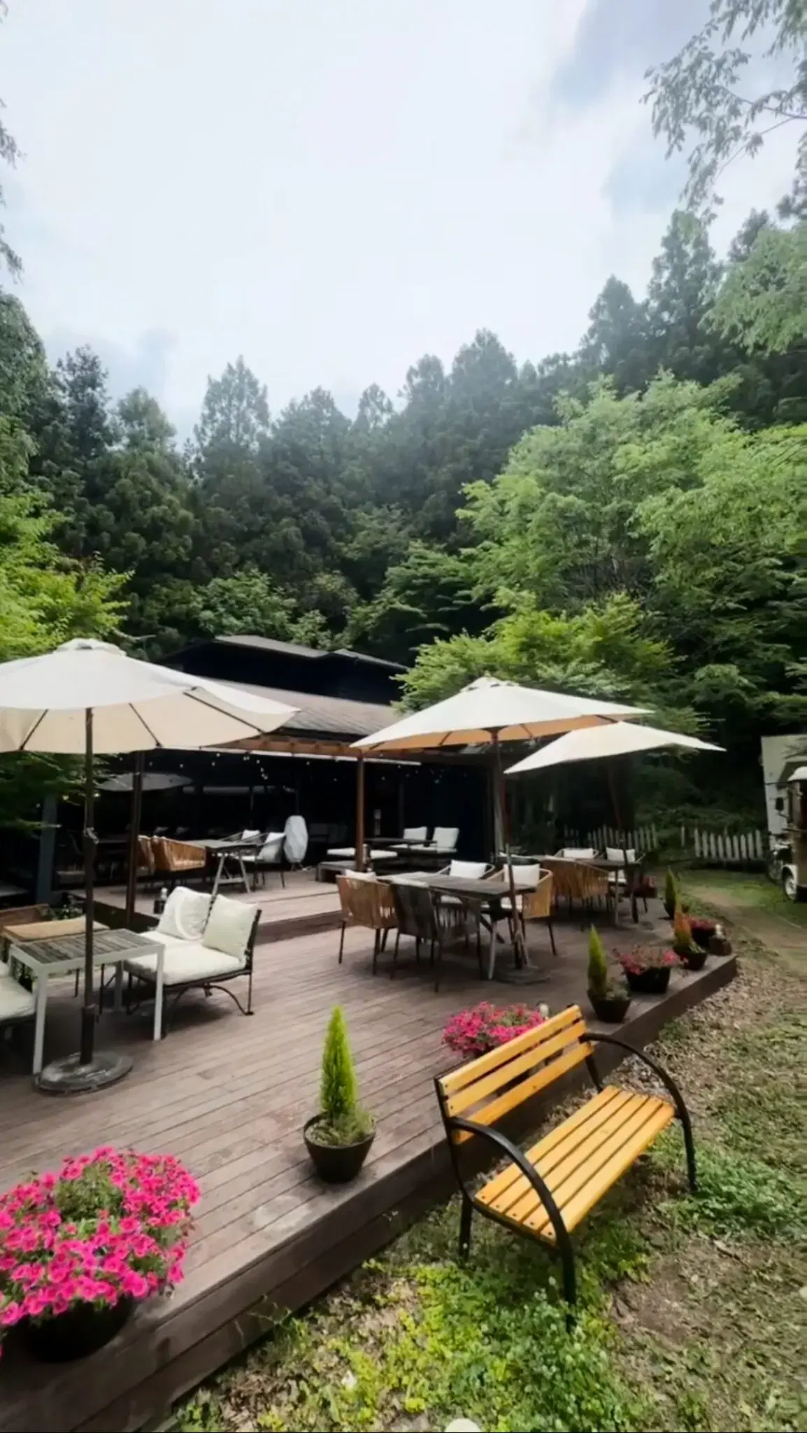 咲くカフェの動画サムネイル